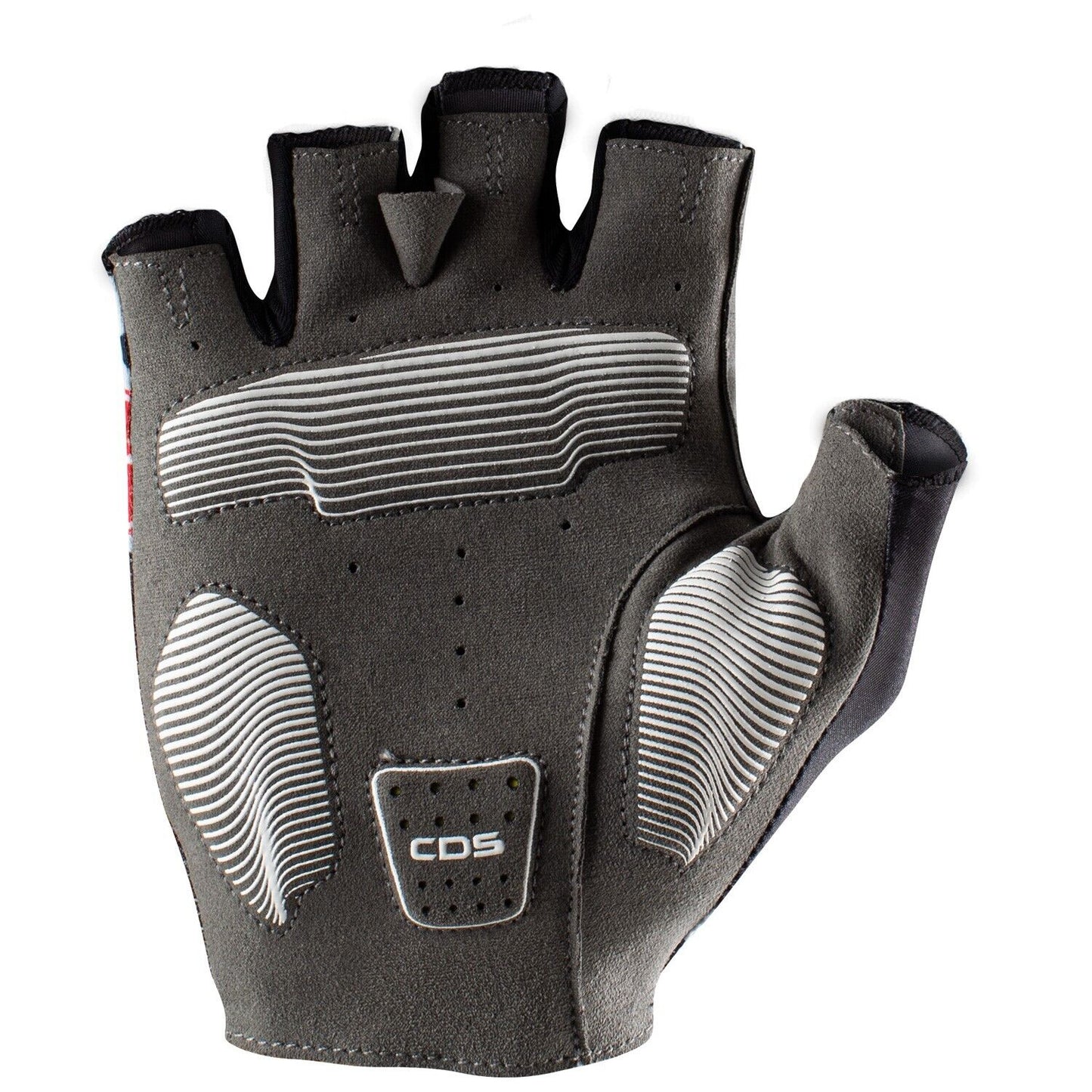 COMPETIZIONE 2 Gloves : LT BLACK/SILVER GREY